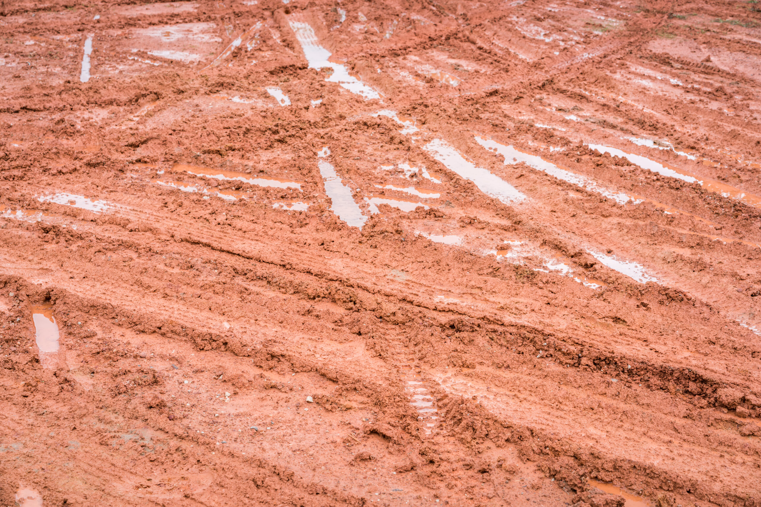 Mud road after the rain